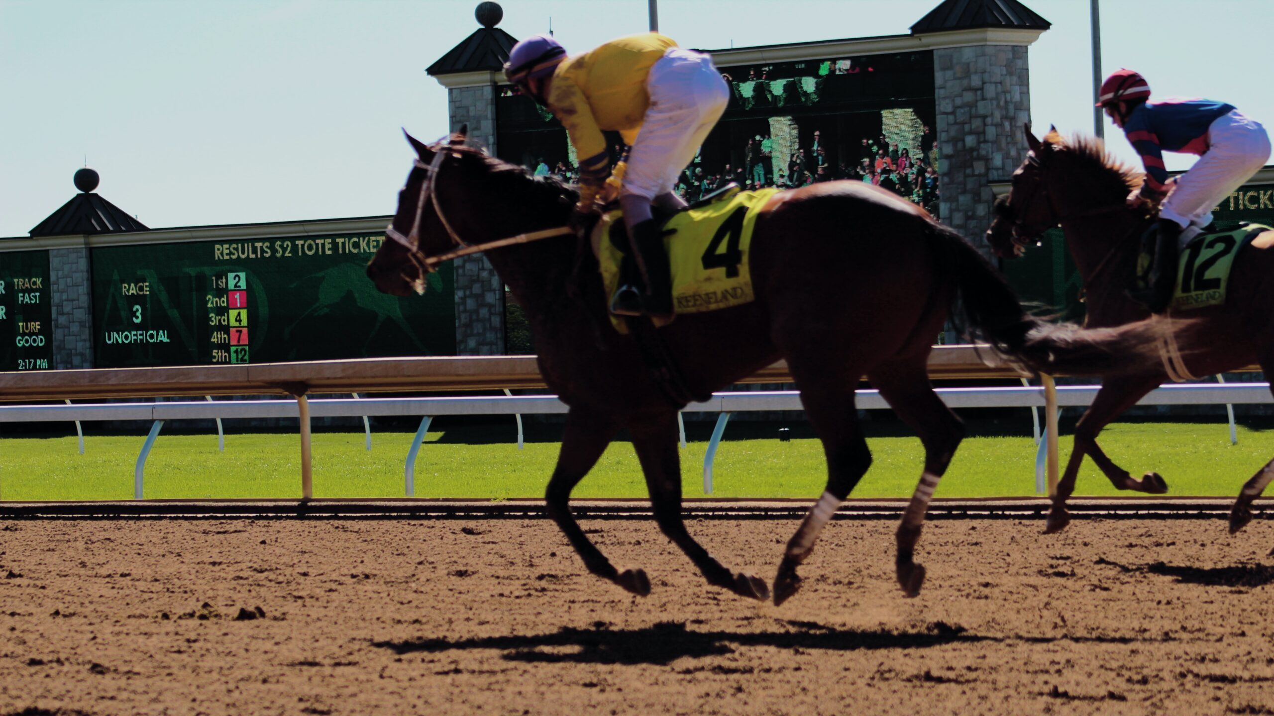 Horses running a track