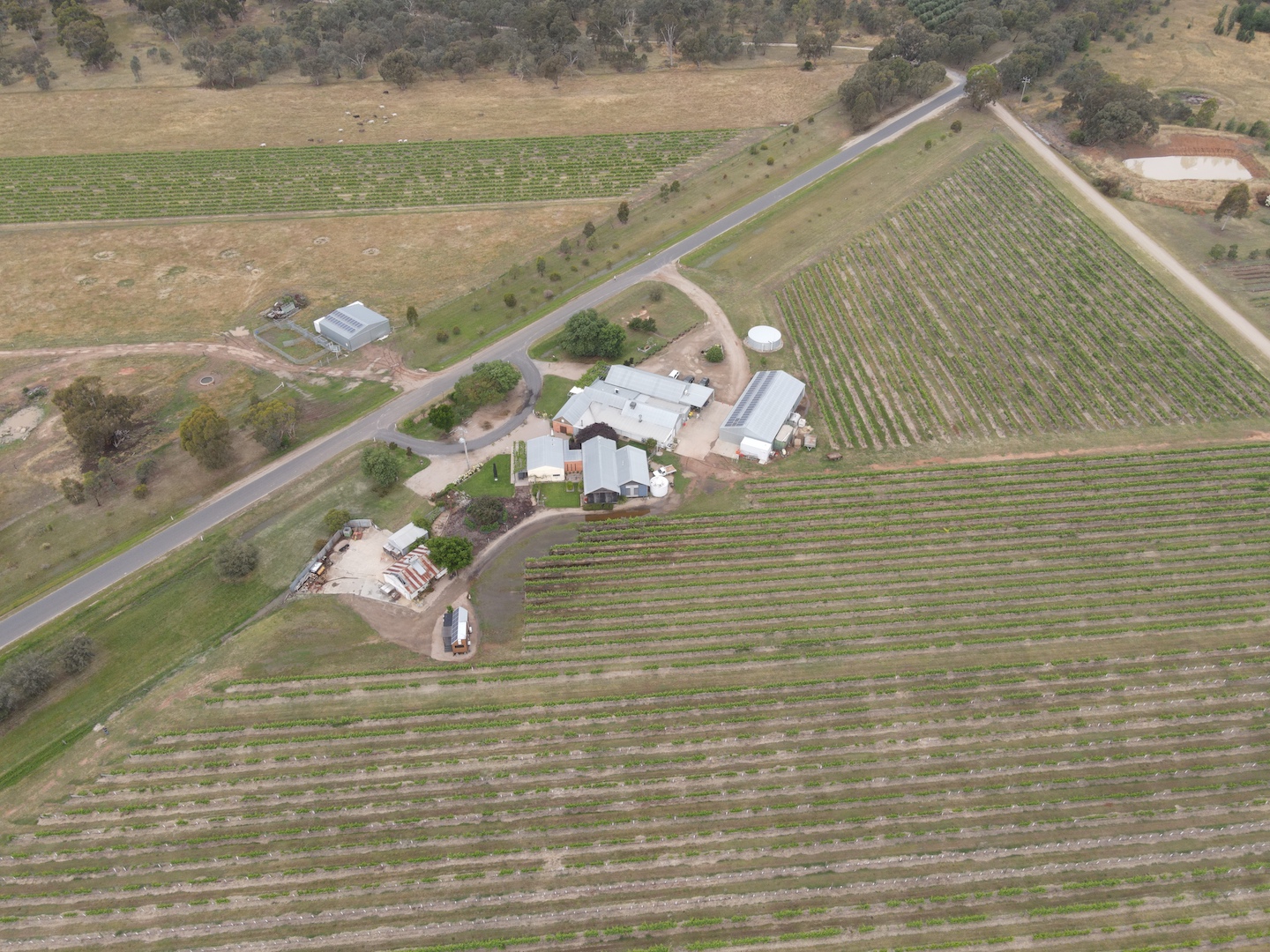 Jones Winery in Rutherglen viewed from above with a drone