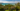 Palm trees and hotel rooms at Club Med Phuket